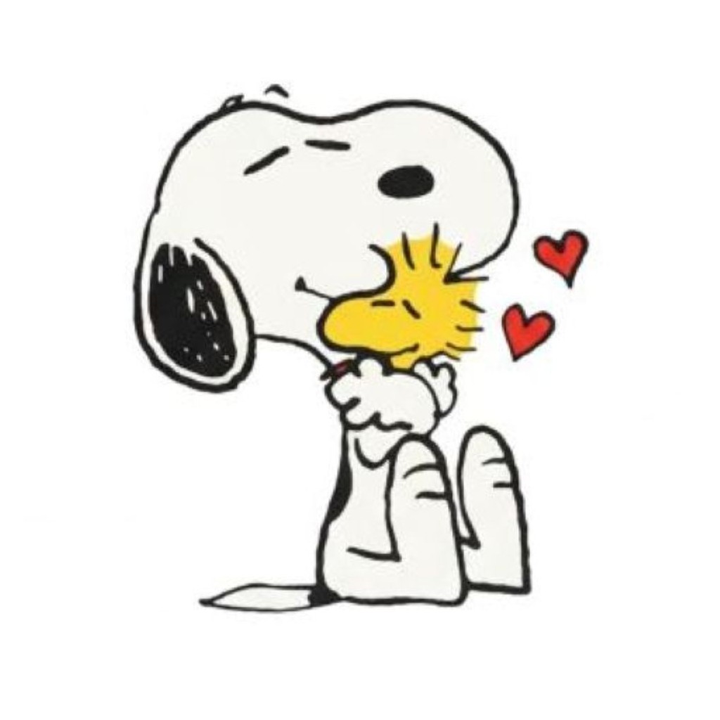 Snoopy Grey